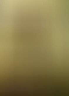 「Z 世代」银幕上最伟大的僵尸