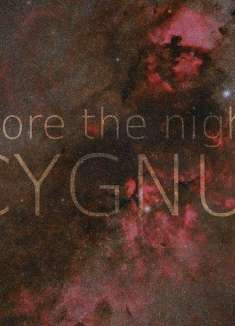 奇妙的星际旅行，数星星的高阶玩法