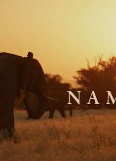 纳米比亚的荒野，被大自然治愈的旅行