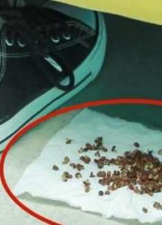 不管有钱没钱，都要在床底撒一把花椒，不是迷信，解决家里大麻烦