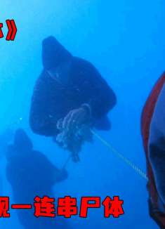 情侣度假旅游，居然在海底发现了连环尸体  #犯罪  #悬疑