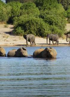 野性与天然之美：赞比亚