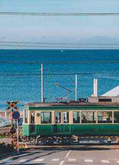 绝美复古电影感，黄昏漫步东京樱花季