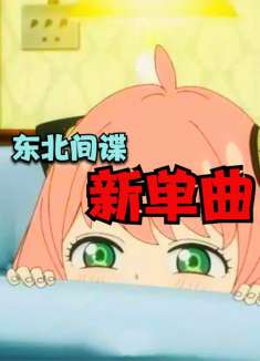 请欣赏东北间谍之歌！