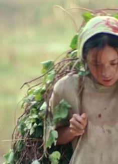 大学生承诺村花给她一个家，结果大学生一去不回，最终嫁给了瘸子