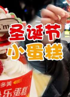 圣诞节小蛋糕！好看又好吃～～