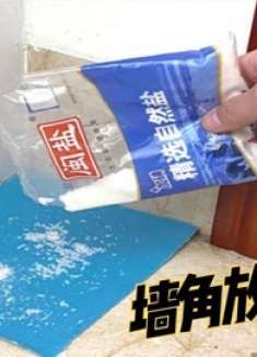 有没有钱，家里墙角记得撒一把食盐，懂的人不多，早清楚就好