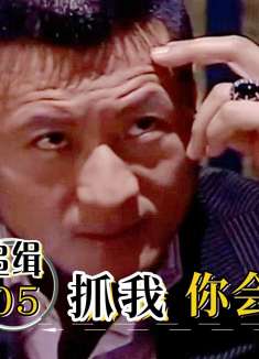 追缉05：黑老大刚到公司，后面一群警察就来逮捕，保护伞慌了！