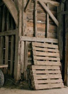 天哪！令人惊讶的并不是全裸的他