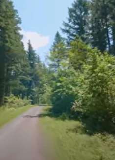 斯诺夸尔米山谷：小径之美，让人心动