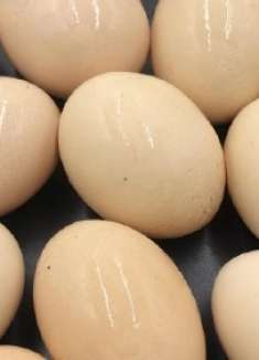 这四种鸡蛋不能买，家里有的也别吃，还有人不当回事，快看看吧