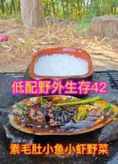 挑战用1块钱的素毛肚，去野外生存抓鱼挖野菜煮火锅，大吃一顿