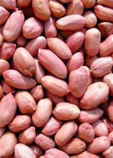 老农偷偷提醒我这种花生米不能买，再便宜都不行，看完长个心眼