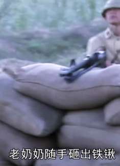 鬼子万万没想到全村百姓都是高手