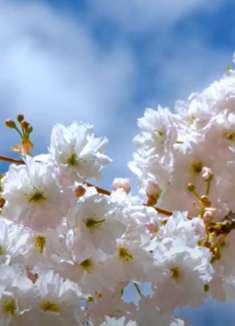 美景合集：轻松自然，让人回味