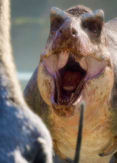 霸王龙:“这辈子就没怂过！”神级恐龙纪录片《史前星球2》