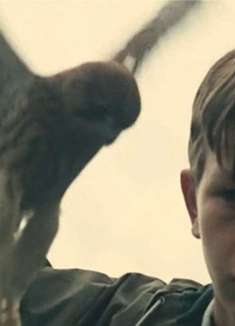 超越痛苦,铭刻悲伤