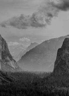 聆听壮美音律，优胜美地的黑与白