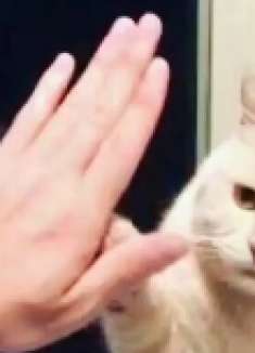 沙雕视频：明枪易躲暗贱难防