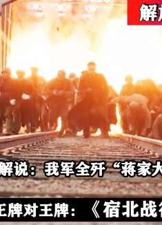全景还原：解放军巅峰一战--大刀剜心，血战曹家集！《宿北战役》