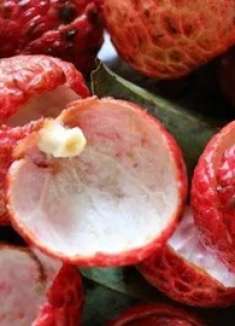 荔枝壳不要扔，放水里煮一煮，作用比荔枝还“值钱”，学会捡到宝