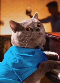 萌宠总动员！约会宝典之最强猫猫「僚机」