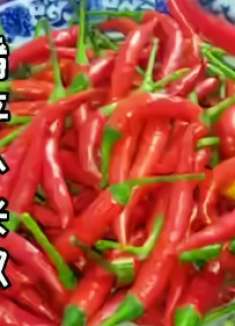 保存小米椒，一定不要直接放冰箱，多加一步，放一年都新鲜，实用