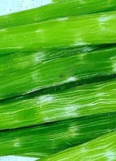 去莴苣皮一定要插根筷子，方便快捷不伤肉，看完告诉家里人