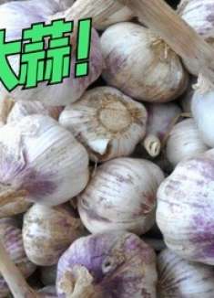 家住楼房保存大蒜小技巧，简单一步，放半年不发芽不干瘪，涨知识