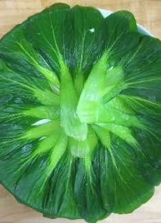 金针菇除了吃火锅，竟还可以这样吃，太有才了！