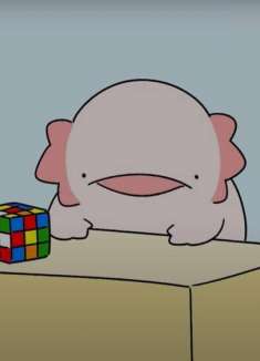 超解压日漫~看暴躁蝾螈玩魔方