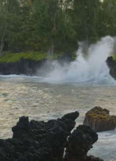 夏威夷毛伊岛：舒缓的自然声音