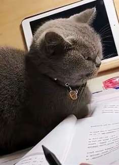 想刀一个人的眼神是根本藏不住的