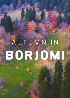 博尔若米森林：距离自然最近的地方