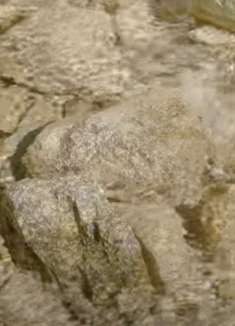 自然放松：让人心旷神怡的视频