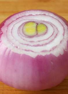 洋葱这样吃，血管干净，睡眠好，90岁奶奶经常这样吃，身体棒棒的