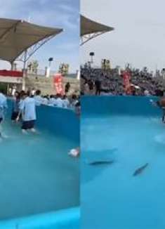 鱼跃龙门！学校组织近千名高三生考前抓鱼减压