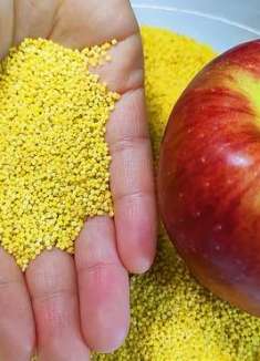 98岁太奶奶教我苹果小米养生吃法，每天坚持这样吃，睡眠好身体棒