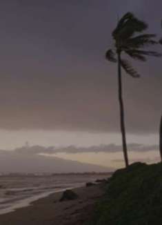 毛伊岛美景：海浪翻滚，让人难忘