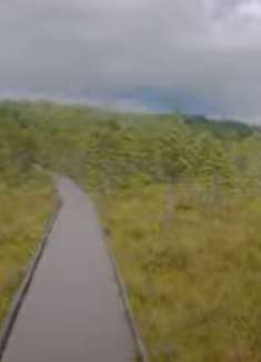 爱沙尼亚拉赫马：美丽森林步道，让人陶醉