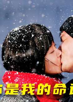 当老实人爱上风尘女，是救赎还是深渊？3