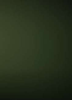 森林秘境的超清慢动作，捕捉自然呼吸