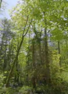 环湖步道：感受自然的宁静