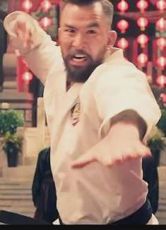 老外连伤中国拳师，叶问霸气出手