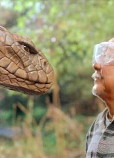 小镇惊现巨型眼镜蛇，一言不合见人就袭击