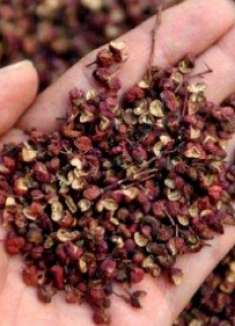 卫生间里放一把花椒，没想到效果真厉害