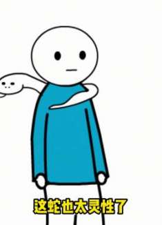 都是那蛇惹的祸……搞笑视频