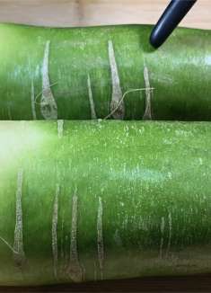 冬天多吃萝卜，教你一个新做法，不炒不炖不拌馅，全家人都超爱吃