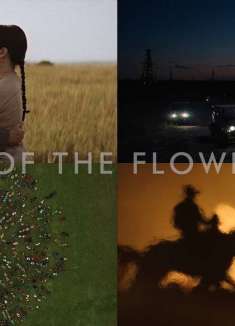 太野了！奥斯卡提名「花月杀手」混剪