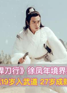 悍刀行：徐凤年境界提升表，老黄身死19岁入武道，27岁成天下第一